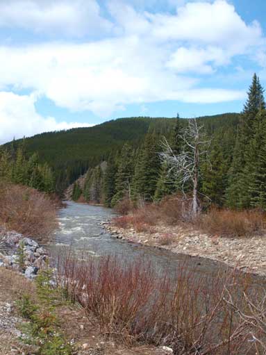 This is Cataract Creek.