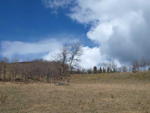 Looking up from near parking lot