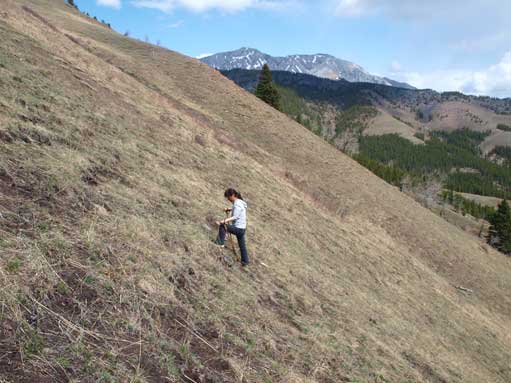 The grass slope is steep at places