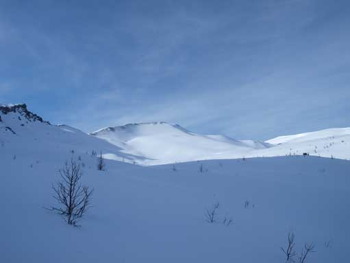 Purple Peak at center. I'm already out of the trees now.