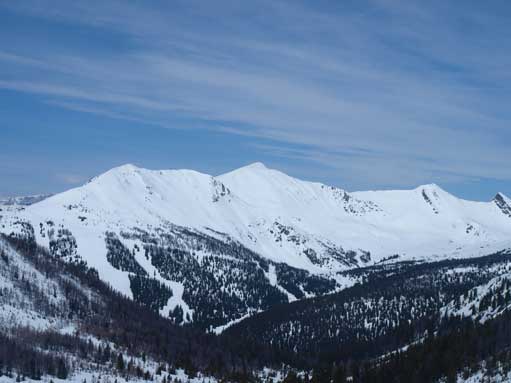 Zooming-in towards Whitehorn