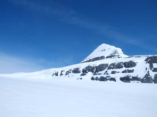 An outlier of Andromeda.