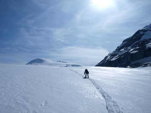 Looking back. Oh the long Sask Glacier...