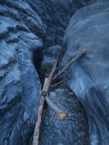 I carefully balanced up this log. Should have gone up the forest on climber's left side to avoid the 1st canyon.