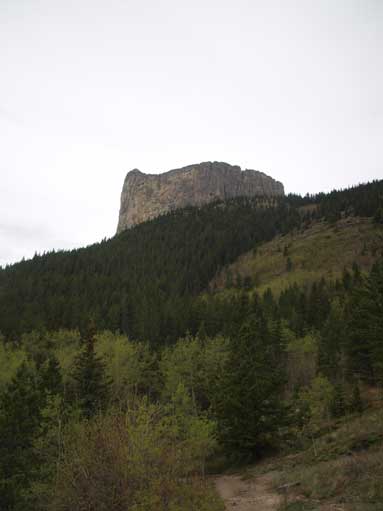 Yam's block from the East side