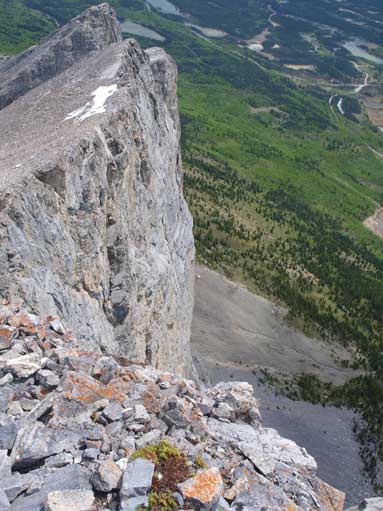 The impressive Face!