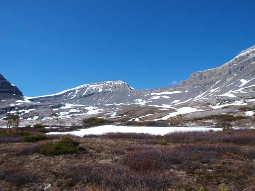 Back down to Cardinal River Valley