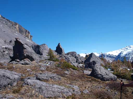 There is a rock garden. 