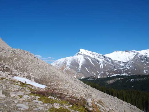 The typical side-hilling. We were going up and down this stuffs for hours. 