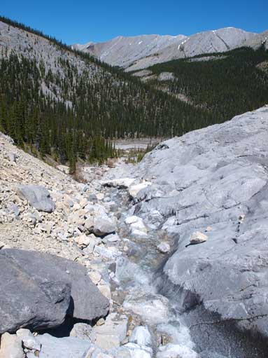 Going down the drainage. I refilled water here.