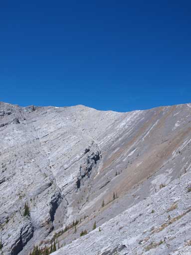 Looking up one of the false summits on Nihahi Ridge