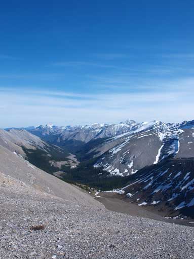 This is the boring and long Nihahi Creek. I could have come down this way to finish the day earlier.