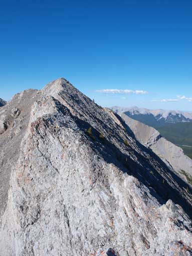 Terrain soon became interesting.