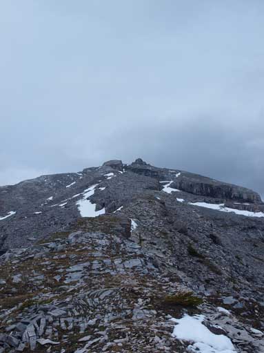Looking up from just above treeline