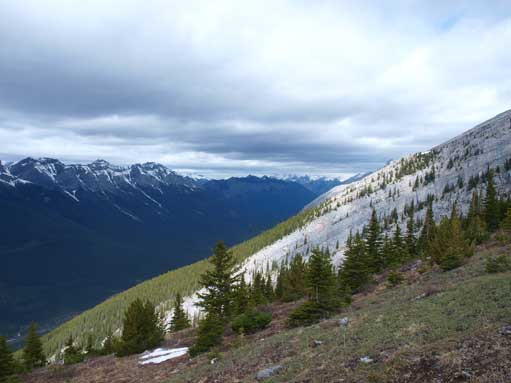 Breaking the treeline on Ship's Prow 