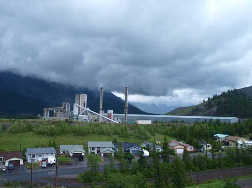 Exshaw Plant from the start