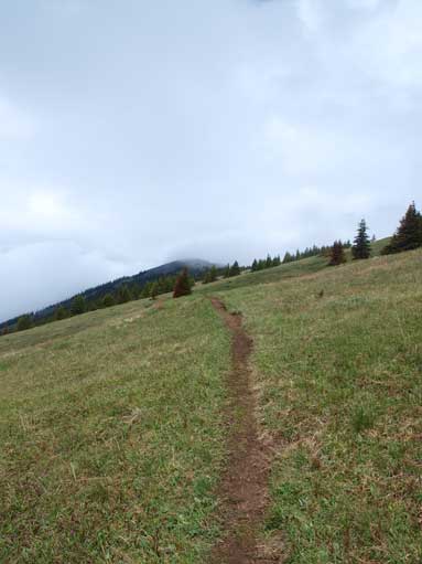 I decided to go down since there was no sign of improvement