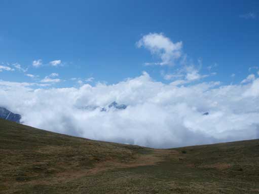 I went up a bit to the rige.