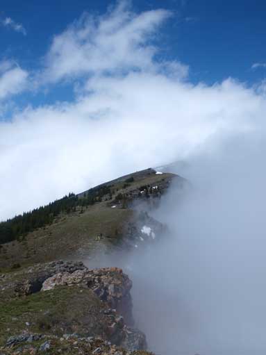 And, here is what I got from the ridge! What a bonus