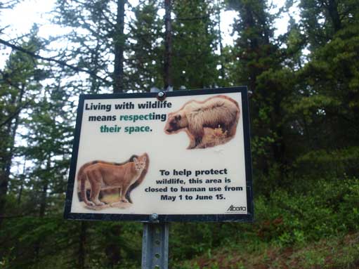 There is a season closure of this trail, make sure you know this before coming.