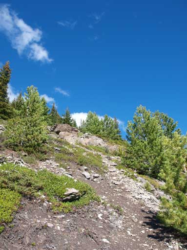 I regained a path further up, and followed it to treeline