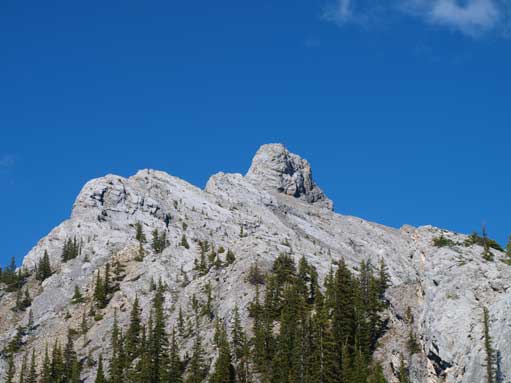 Looking towards the summit nipple. The route goes up left skyline