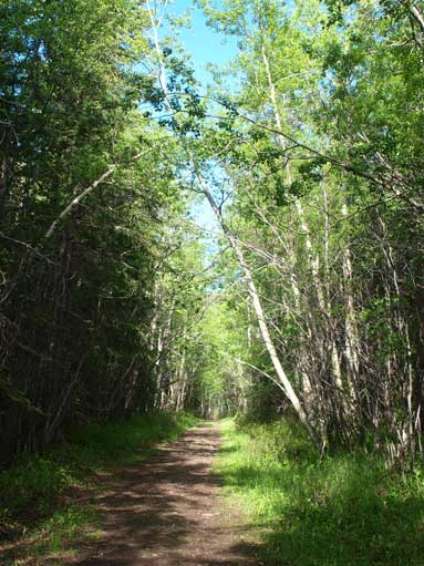 Easy travel along the trail system