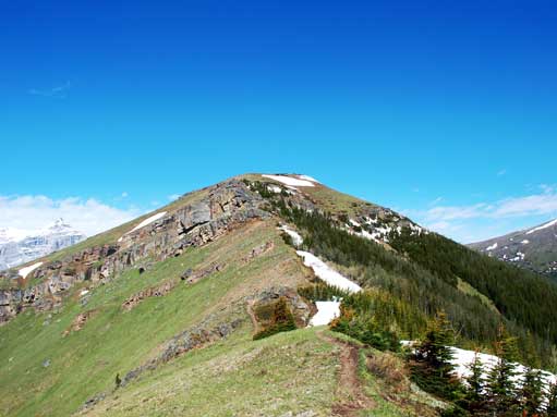 Looking towards the top of Olympic Summit (the top of Nakiska ski hills)