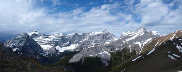 I would soon lose the blue colours. One last look at Bogart and Sparrowhawk.