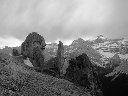 The pinnacles in the "rock garden"