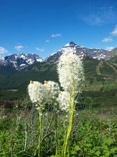 Interesting vegetation.
