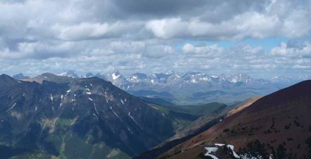 Looking over Syncline Mountain towards the distant Flathead Range