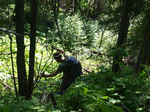 And it would soon turn to a hellish experience