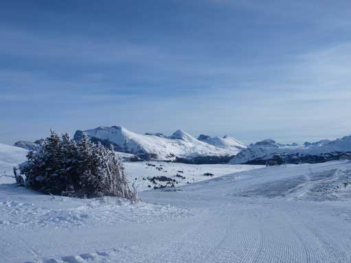 Looking south into Sunshine Meadows
