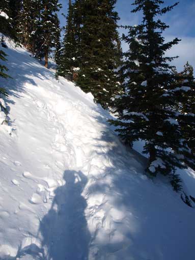 Typical condition on the trail