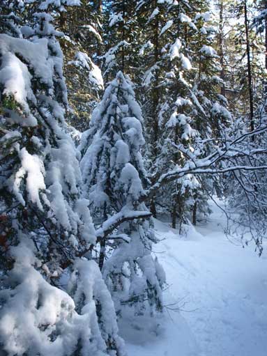 Apparently there was some new snow