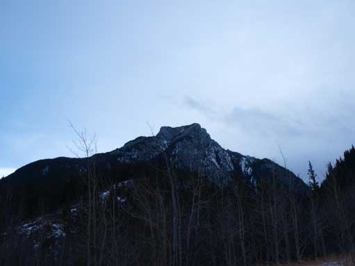 Looking back at the Heart