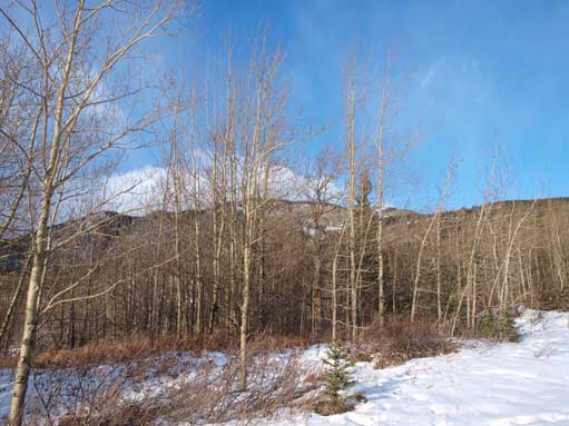 Views from the beginning