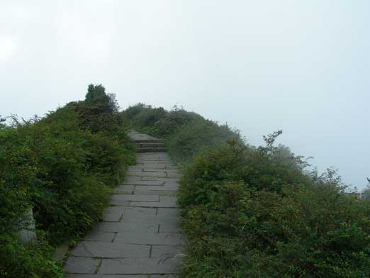 Back into the fog again