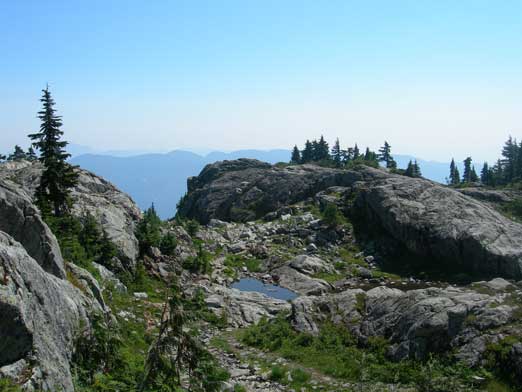 Looking back at a rockier section of this trail