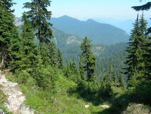 We explored Elsay Lake Trail a bit