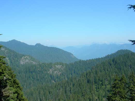 One last look before going home