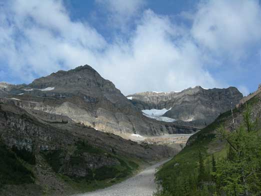 Lookin' up from the Teahouse