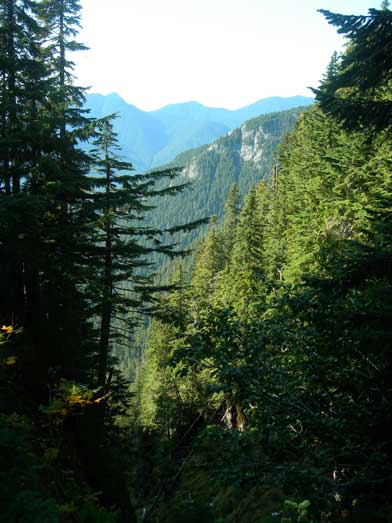Typical view in the BC forest