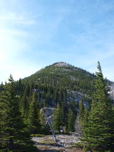 This treed section held some knee deep isothermal snow. 