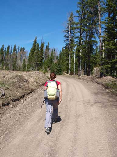 Typical road hike