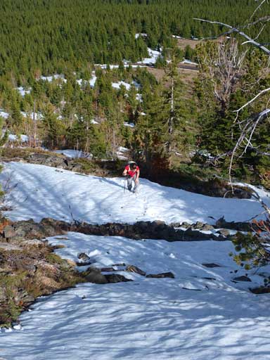 The open slope would soon disappear.