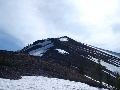Eventually we came out of the trees, and the alpine area was thankfully, snow free