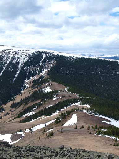 Looks like we could avoid most of the forested snow except for the last bit