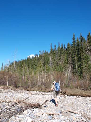 We would soon start bushwhacking.